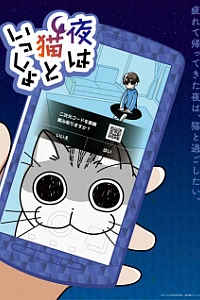 Вечера с кошкой