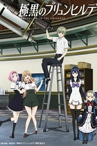 Тёмная сторона Брюнхильды