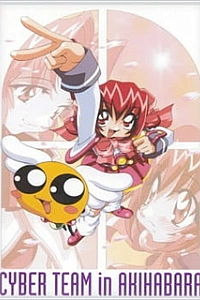 Кибер-команда Акихабары