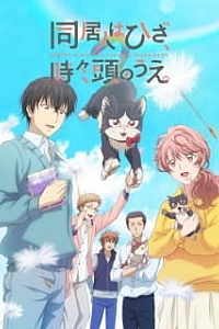 Домашний питомец, иногда сидящий на моей голове