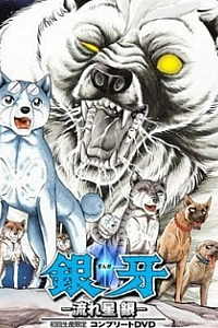 Легенда о Серебряном Клыке: Падающая звезда Гин