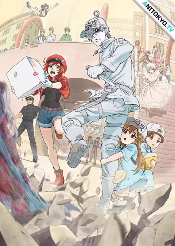 Клетки за работой: Простуда