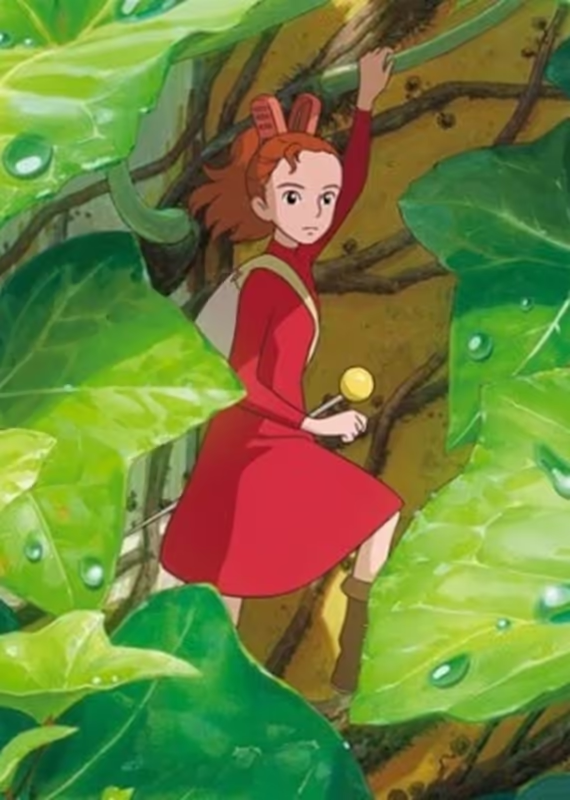 Ариэтти из страны лилипутов