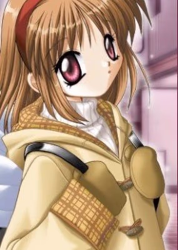 Канон: Цветы ветра