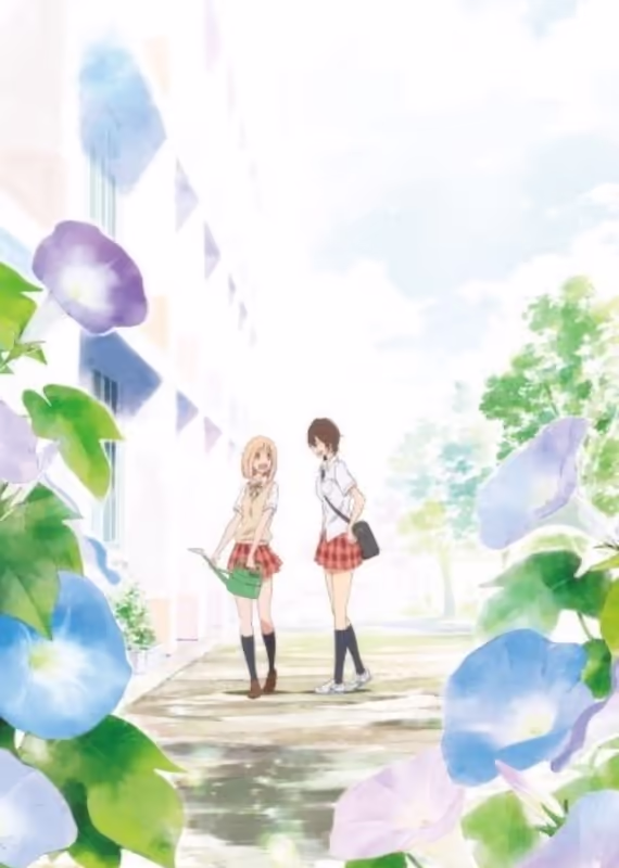 Сияние утра и Касэ: Твой свет