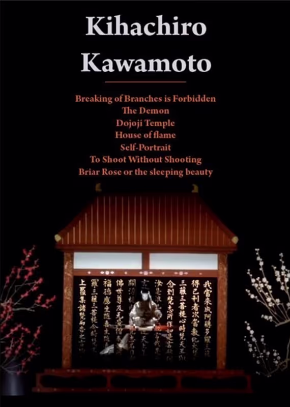 Спящая красавица