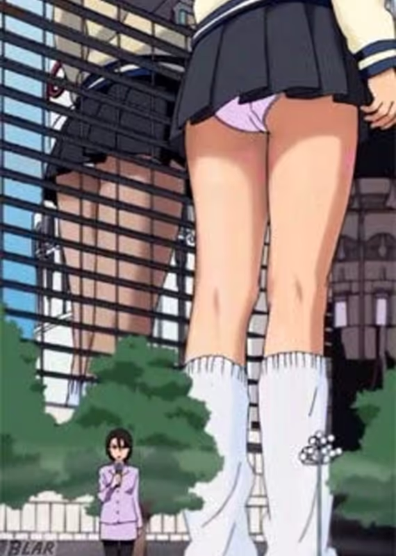 Разноцветье