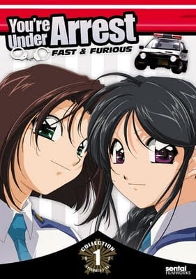 Вы арестованы 2