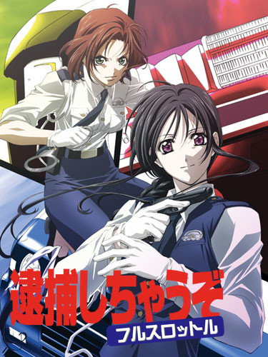 Вы арестованы 3