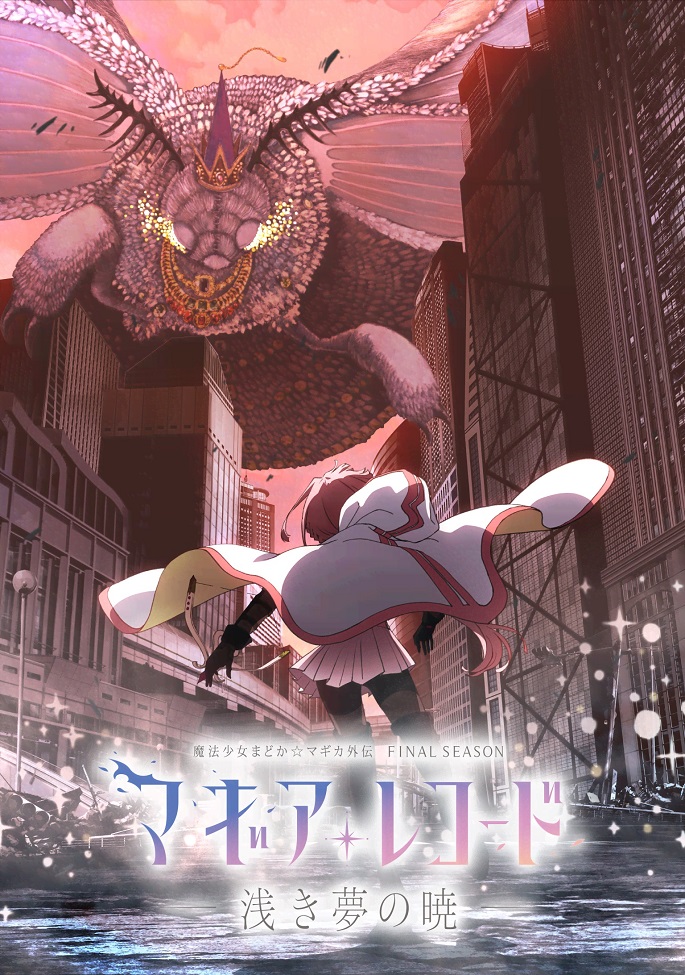 Записи о магии: Девочка-волшебница Мадока★Волшебство — Гайдэн 3. Финал