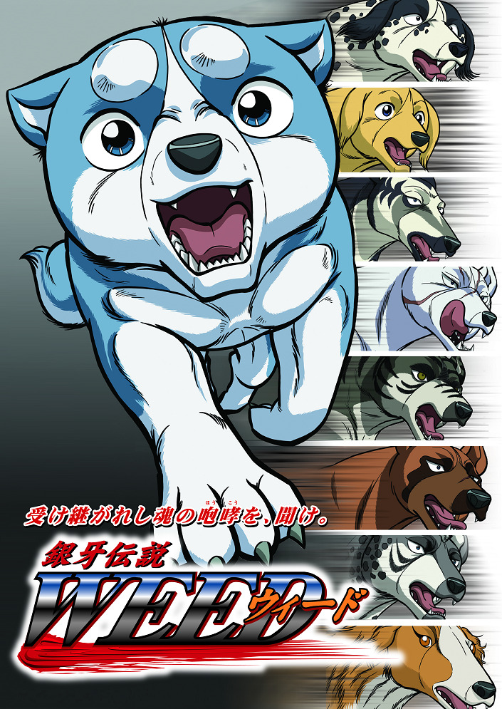 Легенда о Серебряном Клыке